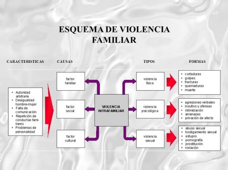 Esquema de la violencia doméstica LGTBFÓBICA